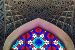 گزارش تصویری گلگشت پرسنل انستیتو قلب و عروق شهید رجایی به شهر شیراز