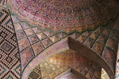 گزارش تصویری گلگشت پرسنل انستیتو قلب و عروق شهید رجایی به شهر شیراز