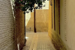گزارش تصویری گلگشت پرسنل انستیتو قلب و عروق شهید رجایی به شهر شیراز