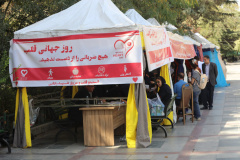 برگزاری ویژه‌ برنامه روز جهانی قلب در پارک ملت با حضور تیم درمانی انستیتو قلب و عروق شهید رجایی