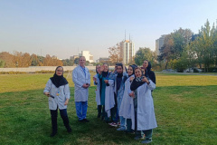 آغاز مرحله دوم جام فوتبال کارکنان در انستیتو قلب و عروق شهید رجایی