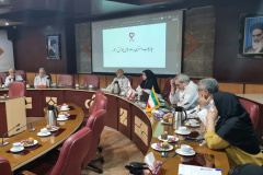 برگزاری دویست‌ و پنجاه و یکمین جلسه شورای پژوهشی انستیتو قلب و عروق شهید رجایی