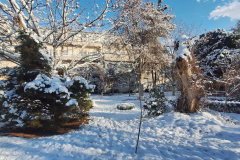 بارش برف در انستیتو قلب و عروق شهید رجایی به روایت تصویر