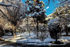 بارش برف در انستیتو قلب و عروق شهید رجایی به روایت تصویر