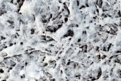 بارش برف در انستیتو قلب و عروق شهید رجایی به روایت تصویر