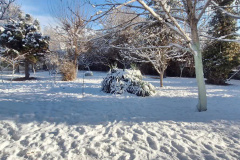 بارش برف در انستیتو قلب و عروق شهید رجایی به روایت تصویر