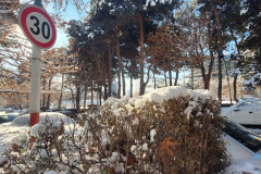 بارش برف در انستیتو قلب و عروق شهید رجایی به روایت تصویر