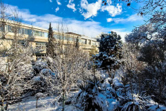 بارش برف در انستیتو قلب و عروق شهید رجایی به روایت تصویر