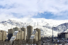 بارش برف در انستیتو قلب و عروق شهید رجایی به روایت تصویر