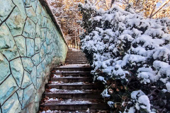 بارش برف در انستیتو قلب و عروق شهید رجایی به روایت تصویر