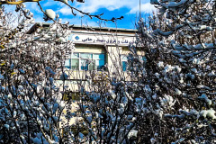 بارش برف در انستیتو قلب و عروق شهید رجایی به روایت تصویر