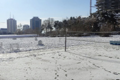 بارش برف در انستیتو قلب و عروق شهید رجایی به روایت تصویر