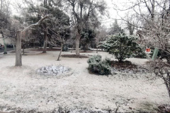 بارش برف در انستیتو قلب و عروق شهید رجایی به روایت تصویر