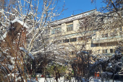 بارش برف در انستیتو قلب و عروق شهید رجایی به روایت تصویر