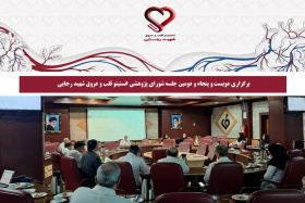 برگزاری دویست‌ و پنجاه و دومین جلسه شورای پژوهشی انستیتو قلب و عروق شهید رجایی